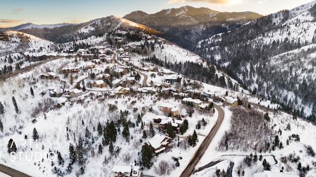 7352 Pine Dr, Park City, UT 84098 - mountain view