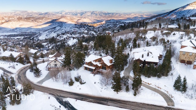 7352 Pine Dr, Park City, UT 84098 - snowy aerial view with a mountain view