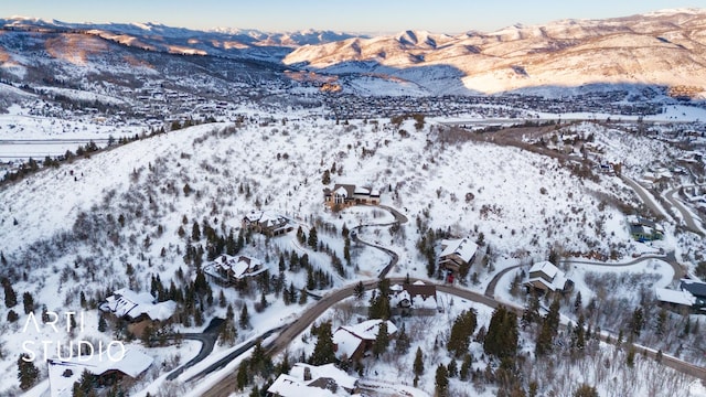 7352 Pine Dr, Park City, UT 84098 - photo 40
