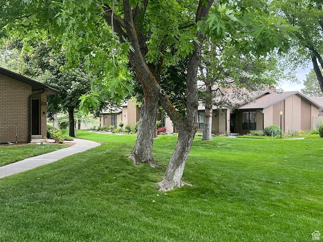 1581 E 6470 S, Murray, UT 84121 - view of green lawn