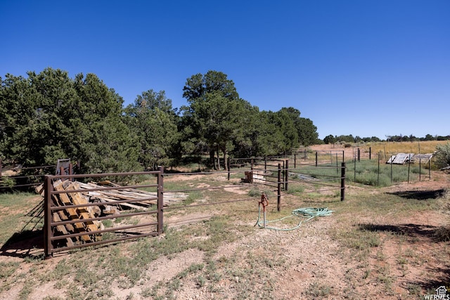 view of yard featuring a rural view