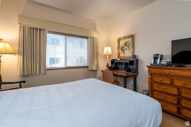 bedroom with carpet floors