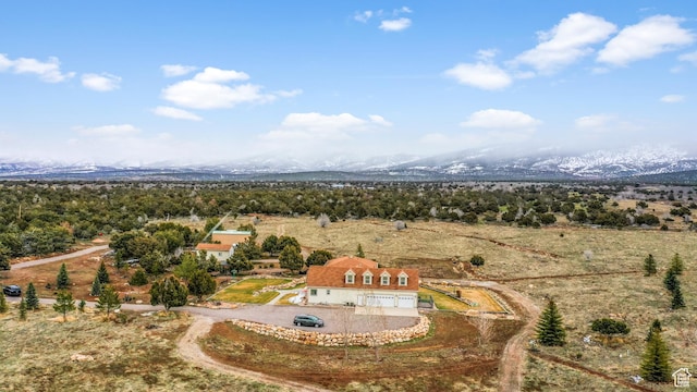 650 E 600 S, Spring City, UT 84662 - birds eye view of property with a mountain view and a rural view