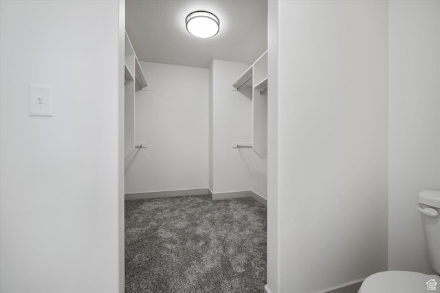 639 S 85 E Unit 28, Smithfield, UT 84335 - walk in closet with carpet floors