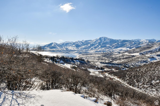 mountain view