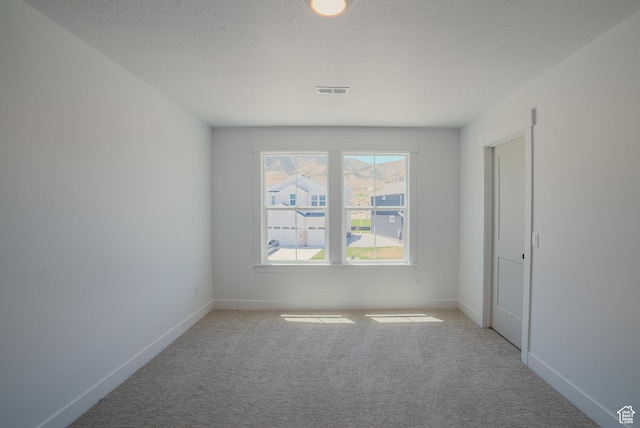 unfurnished room with a textured ceiling and light colored carpet