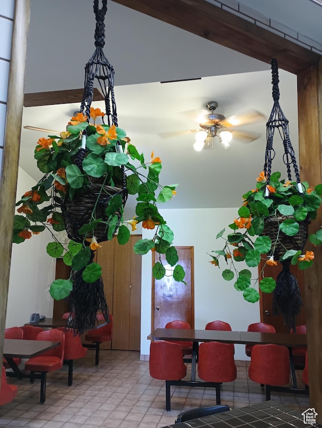 80 S Chipper Ln, Manila, UT 84046 - details with ceiling fan
