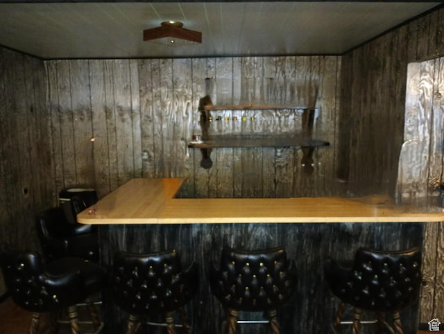 80 S Chipper Ln, Manila, UT 84046 - bar with wooden walls