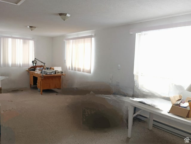 80 S Chipper Ln, Manila, UT 84046 - view of misc room