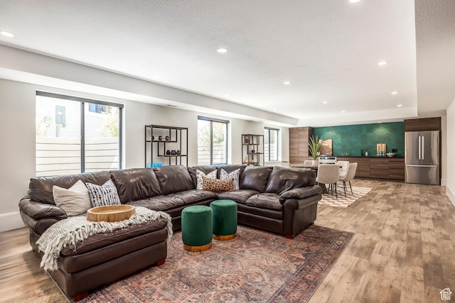 living room featuring light hardwood / wood-style floors