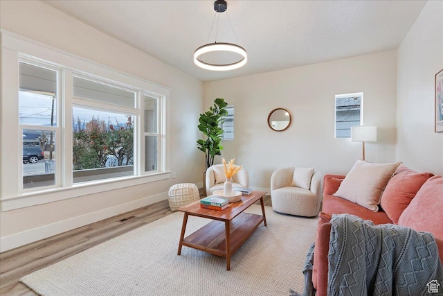 living room with wood-type flooring