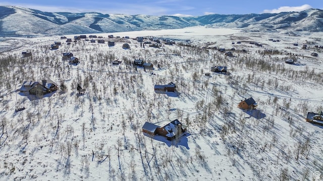 53 Aspen Cove Dr, Scofield, UT 84526 - photo 9