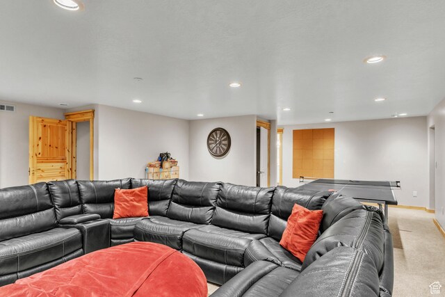 53 Aspen Cove Dr, Scofield, UT 84526 - photo 31