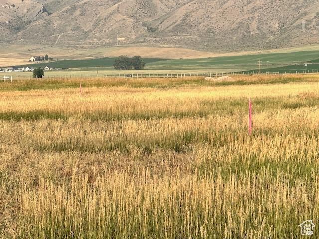 946 N 8th St, Montpelier, ID 83254