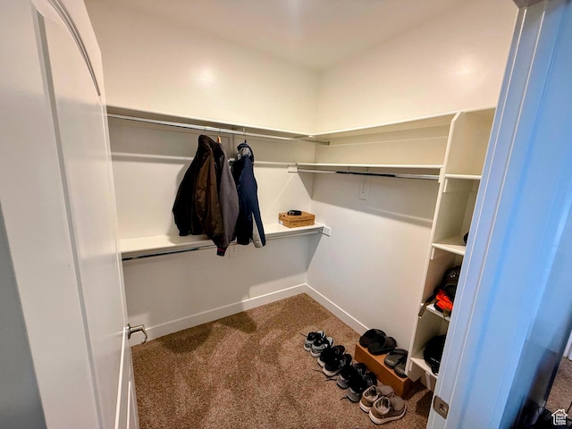 1768 W 300 S Unit D, Mapleton, UT 84664 - walk in closet featuring carpet flooring