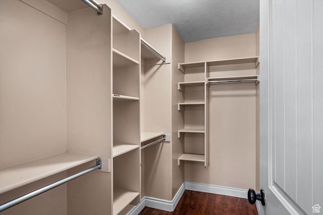 4876 S 1525 E, Ogden, UT 84403 - walk in closet featuring dark wood-style floors