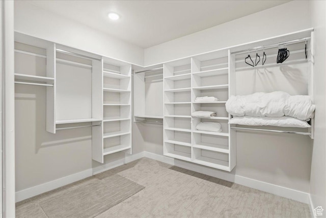 view of walk in closet