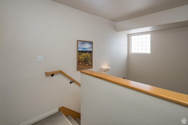 3253 E Fairway Loop, Moab, UT 84532 - stairway with carpet