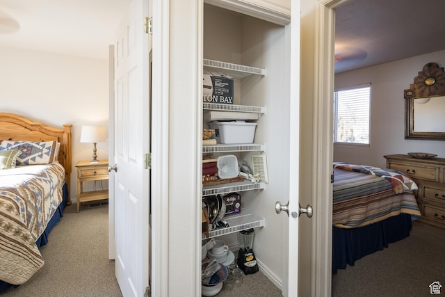 3253 E Fairway Loop, Moab, UT 84532 - bedroom with carpet flooring