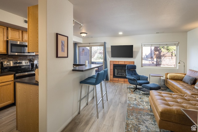 3253 E Fairway Loop, Moab, UT 84532 - living room featuring a tile fireplace, rail lighting, and light hardwood / wood-style flooring