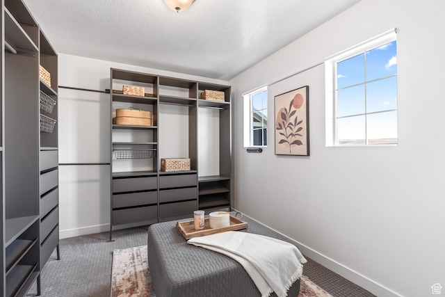 bedroom featuring baseboards and carpet flooring