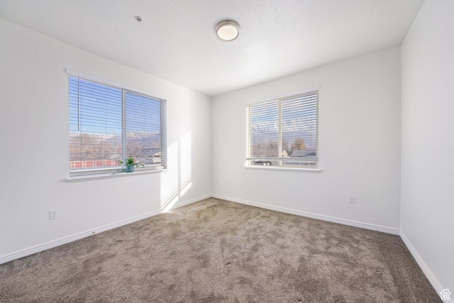 502 S 1040 E Unit 243, American Fork, UT 84003 - carpeted empty room with a wealth of natural light