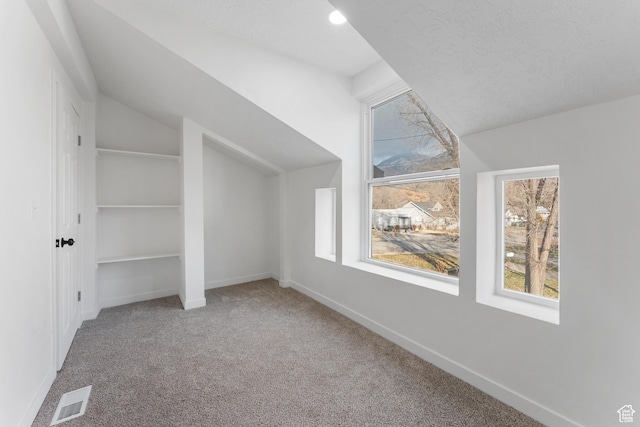 225 8th St, Ogden, UT 84404 - additional living space with vaulted ceiling, carpet floors, a textured ceiling, and plenty of natural light