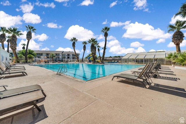 view of swimming pool with a patio