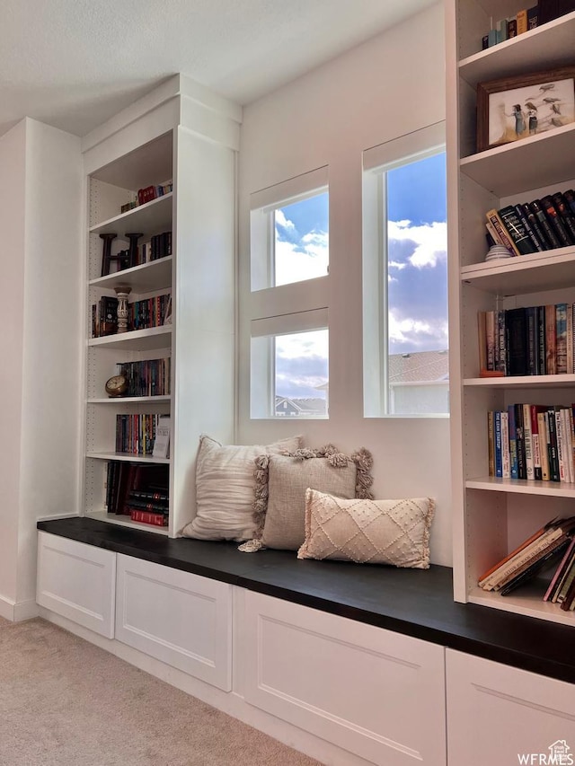 10052 Marigold Ln, Cedar Hills, UT 84062 - sitting room featuring light carpet