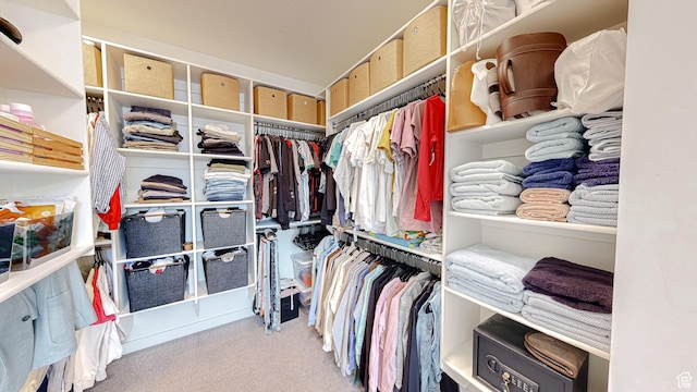 1244 N Washougal, Elk Ridge, UT 84651 - walk in closet featuring carpet floors