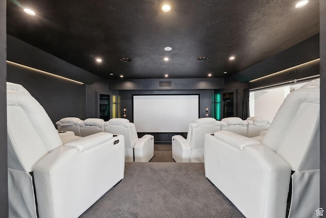 13599 S White Pony Rd W, Herriman, UT 84096 - cinema featuring carpet