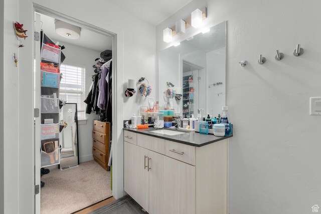 1570 S Main St Unit 102, Salt Lake City, UT 84115 - bathroom featuring vanity