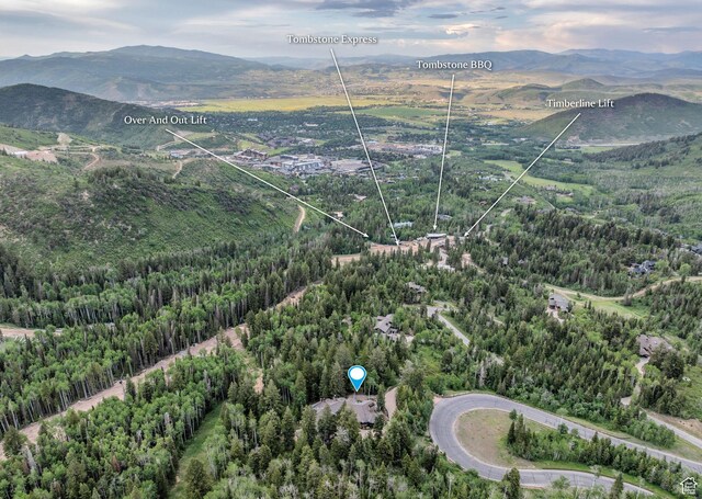 22 White Pine Canyon Rd, Park City, UT 84060 - photo 35