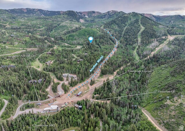22 White Pine Canyon Rd, Park City, UT 84060 - photo 36