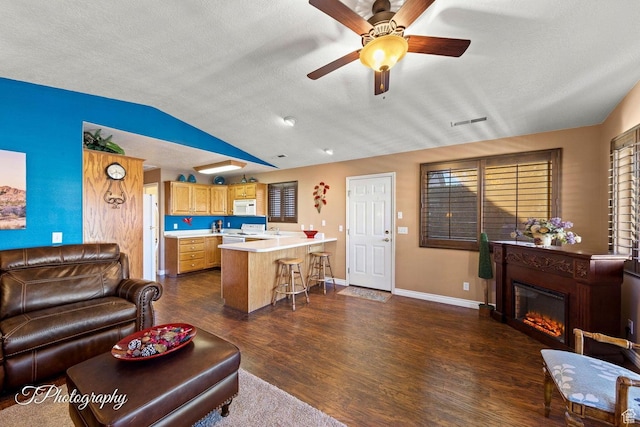 1050 W Red Hills Pkwy Unit 2, Washington, UT 84780 - living room with vaulted ceiling, ceiling fan, dark hardwood / wood-style flooring, a textured ceiling, and sink