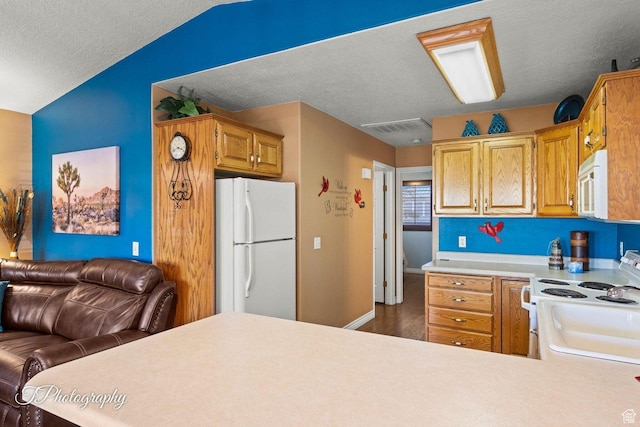 1050 W Red Hills Pkwy Unit 2, Washington, UT 84780 - kitchen with white appliances, kitchen peninsula, a textured ceiling, lofted ceiling, and dark hardwood / wood-style flooring