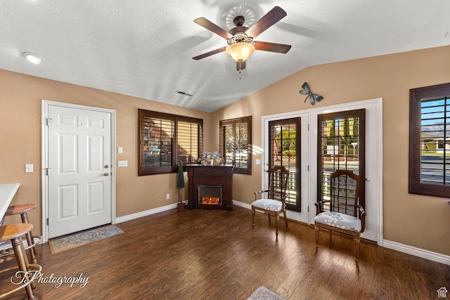 1050 W Red Hills Pkwy Unit 2, Washington, UT 84780 - foyer with ceiling fan, dark wood-type flooring, vaulted ceiling, and a textured ceiling