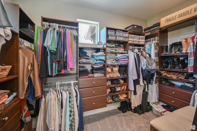 10694 E Cottonwood Ln Unit 539, Heber City, UT 84032 - walk in closet with carpet flooring
