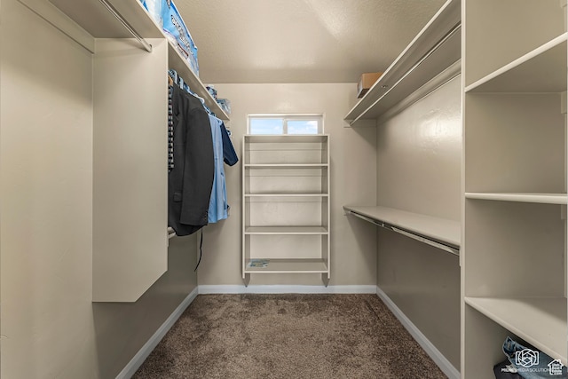 1987 S 2940 E, St George, UT 84790 - spacious closet featuring carpet
