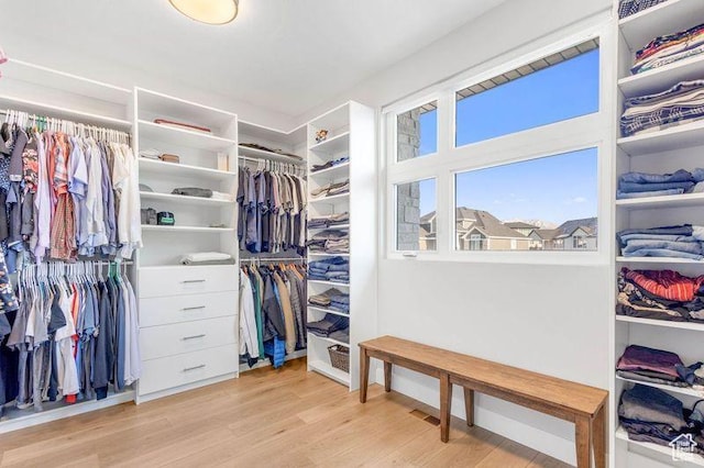 51 N Gray Fox Cir, Kaysville, UT 84037 - spacious closet with light hardwood / wood-style floors