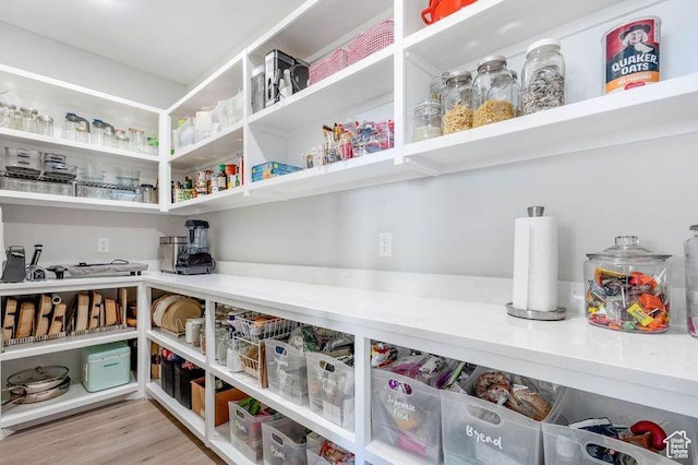 51 N Gray Fox Cir, Kaysville, UT 84037 - view of pantry