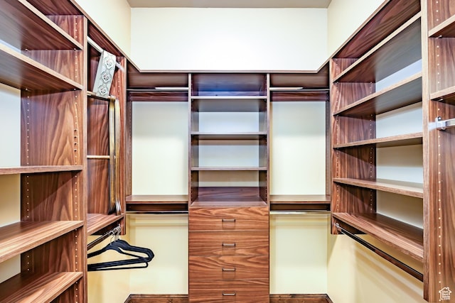 view of walk in closet