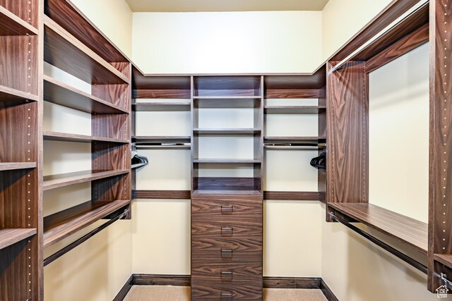 view of spacious closet