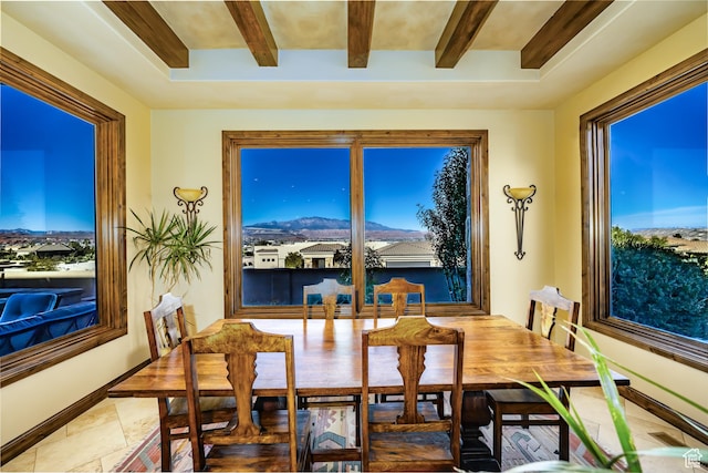dining space with a raised ceiling