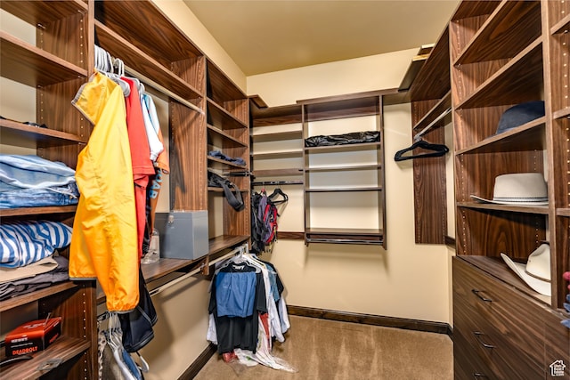 spacious closet with carpet flooring