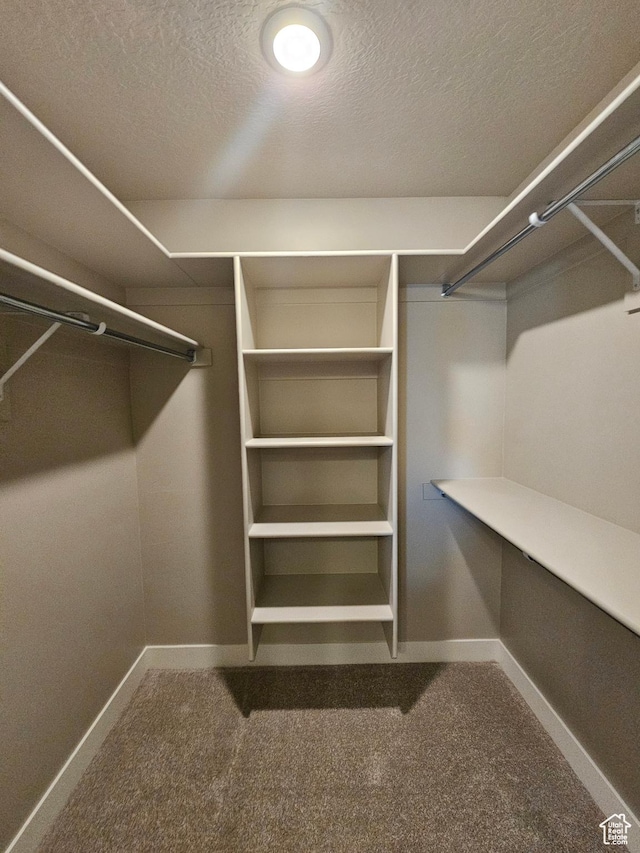 1447 W 500 N Lot 17, Springville, UT 84663 - walk in closet featuring carpet floors