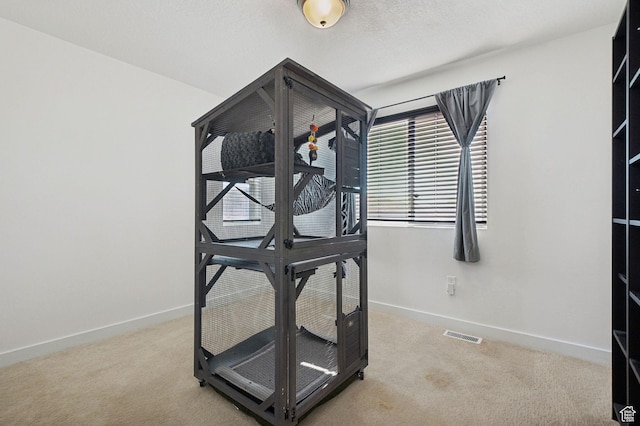 6343 W 7900 S, West Jordan, UT 84081 - workout area featuring light carpet