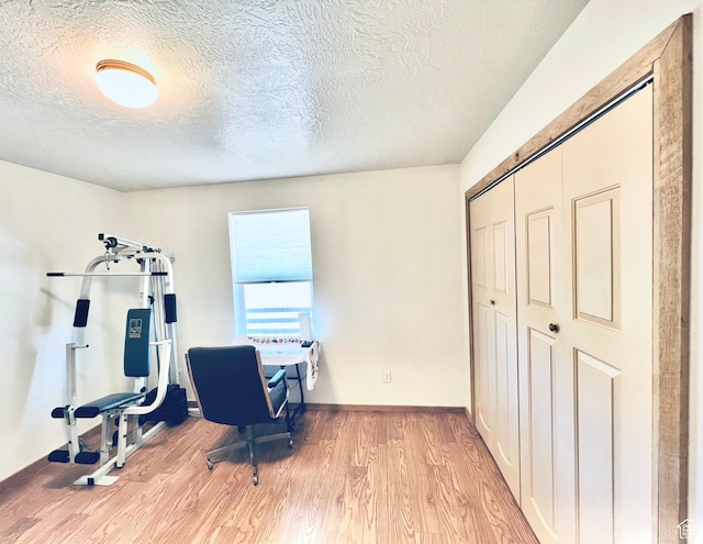 19600 N 8250 E, Mount Pleasant, UT 84647 - office featuring baseboards, light wood-style floors, and a textured ceiling