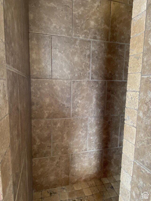 1918 S Mojave Dr, Washington, UT 84780 - room details with a shower