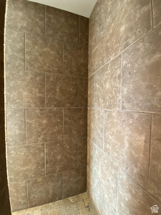 1918 S Mojave Dr, Washington, UT 84780 - details featuring a shower